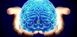 La creación de neuronas decrece a medida que envejecemos