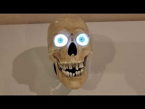 Gemmy 2006 Animated Scary Skull Demo