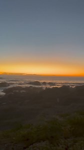 ' Sandy toes and sun kissed noses 🌊 ' IG | lulu_braaap | Paternoster Rentals