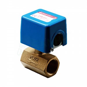 [Hot Item] High Quality Brass Water Flow Switch for Water