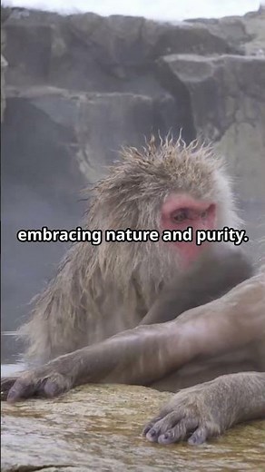 Japan's Naked Hot Springs: An Unforgettable Cultural Experience