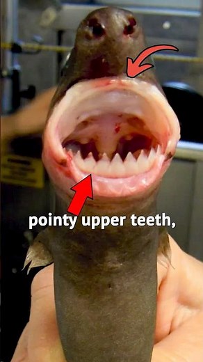 Stay Away From This 😲