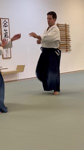 Janet Lowe - 6th Dan 🙏 | Aikido Florida Aikikai