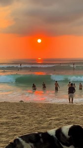 6.5K views · 101 reactions | Bali surf spot‍♀️ | Bali Bound | Facebook