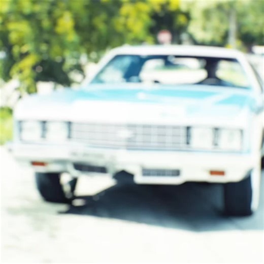 Exploring Moonlight: A Cinematic Journey