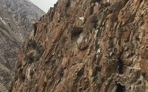 拍摄手记&鹰 012