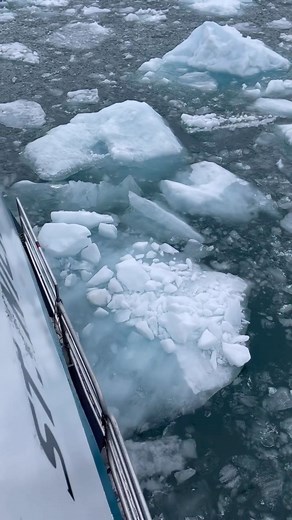 Endicott Arm Fjord and Glacier Explorer tour from Celebrity Solstice with @allenmarinetoursak #travel #alaska #celebritysolstice #cruisecelebrity | CruiseCelebrity