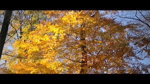 "Breathe" | Promotional Video | Concept & Production