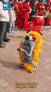 Psí roboti předvedli dokonalý lví tanec. 👍 👍 👍 | Chinese Embassy in Prague （Velvyslanectví Čínské lidové republiky）