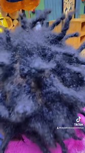 Short locs? Worry no more. We can extend them for easy maintainance. Contact us on 0723687868 We also offer personalized locs classes for those who want to take #locs as a career | Dreadlocks Nairobi Kenya Salon