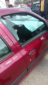 Renault Clio 2 1999 🇩🇿 | Djazair Automobile