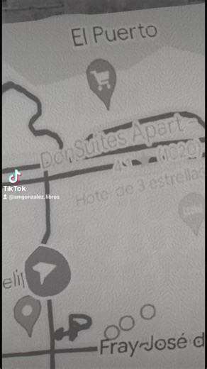 Ana Maria Gonzalez libros on TikTok