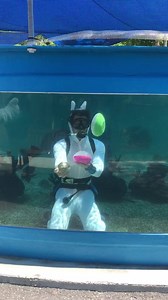 The Easter Bunny in Florida Reef found his eggs!! | St. Augustine Aquarium | Facebook