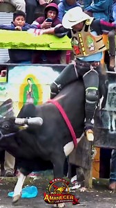 127K views · 2.1K reactions | Gracias Quinceo Michoacan, chulada de fiestas michoacanas. #RanchoAmanecer #LasMaquinas #JosueRomualdo | Rancho Amanecer | Facebook