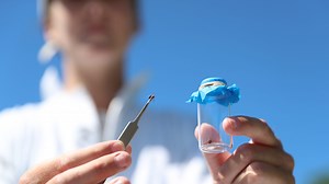 Ticks: Why it's a bad season, how to prevent bites, and what types are entering our region