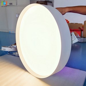 [Hot Item] Circle Ceiling Lighting Fixtures Round Hanging Panel Pendant Light