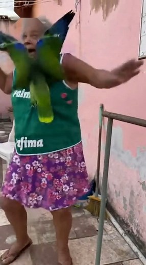 5.6K views · 44 reactions |  Papagaio perde a paciência em discussão de futebol e parte pra cima da dona! Entre provocações, gritos e zoeira futebolística, o papagaio soltou a clássica: “Não tem Mundial!”. O final? Muito mais caótico do que qualquer torcedor esperava. #Comédia #Futebol #Palmeiras #SoccerHumor #AnimalesGraciosos #HumorBrasil #Torcida #PapagayoLoco #FútbolLatam #ViralDoDia #FunnyVideo | Dona Cilas | Facebook