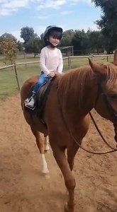 Saddle Up Riding Centre at Hoofside Equestrian Centre is a friendly and professional yard that is perfect for you. 🐴🐴🐴🐴🐴🐴🐴🐴🐴 Riding lessons: 🐴EQUSA Qualified Instuctor 🐴Safe and sweet ponies and horses 🐴ALL ages and levels are welcome 🐴Beginner to advanced lessons 🐴Competitive and non competitive yard 🐴Group and individual lessons available 🐴Well maintained arenas 🐴Safety always comes first 🐴Scenic outrides available 🐴Individualised packages for stabling available according to