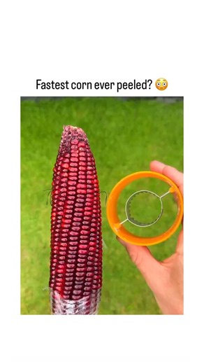 👁️ on Instagram: "- The post features a 9-second video of a manual orange corn stripper tool swiftly removing husks and silk from a red corn cob in one twist, captioned “Fastest corn ever peeled? 😳” and quoting a user’s casual request for “video anything!!”. - Posted by @shareveluv on February 2, 2026, it quickly amassed 437 likes, 150 reposts, and over 6,000 views, sparking Indonesian-language replies admiring the gadget’s speed and simplicity. - This corn stripper, similar to models sold on