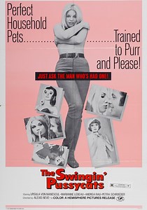 The Swingin' Pussycats (1969)