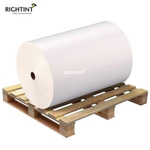 [Hot Item] 60mic Bright White PP vinyl Label Roll glossy film pp label jumbo roll for Flexo Printing