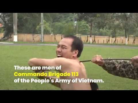 Vietnamese commandos undergo tough training