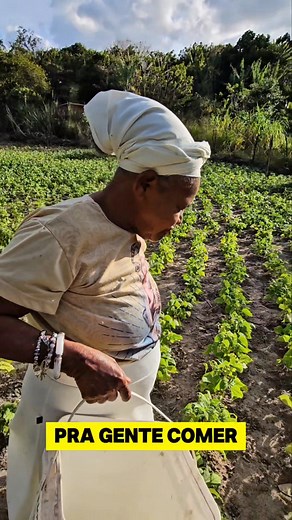 Coisas do Interior #AgriculturaFamiliar | Maria Santa