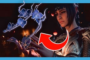 Baldur’s Gate 3: Where To Find Night Orchids