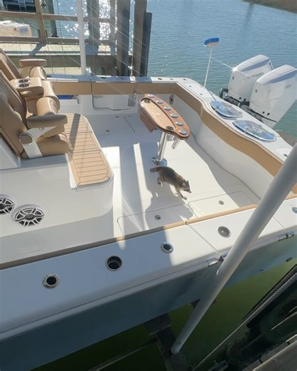 Freeman Boatworks on Reels