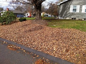 Trash, Leaf Pickup Collection for Thanksgiving