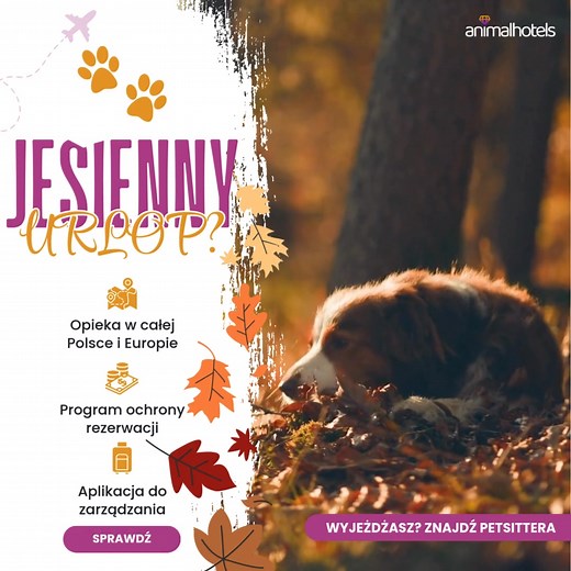 Wyjazdy nie kończą się z latem 🌍✈️ Twój pupil też zasługuje na wakacje! Planujesz weekend za miastem, ferie w górach albo świąteczny wyjazd z rodziną? Nie zawsze możesz zabrać pupila ze sobą... ale zawsze możesz zapewnić mu troskliwą opiekę dzięki animalhotels 🐾 👉 Wejdź na animalhotels.com, podaj termin, lokalizację i rodzaj zwierzaka a my pokażemy Ci dostępnych petsitterów i hotele dla zwierząt w Twojej okolicy. Twój pupil trafi w dobre ręce, a Ty możesz spokojnie cieszyć się wyjazdem 💛 Sko