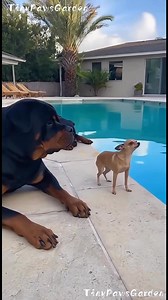 102K views · 1.8K reactions | Aguanta por molestoso…!! #edilvlogs | Edil Vlogs | Facebook