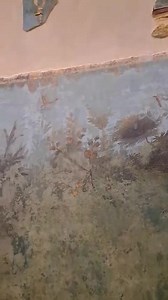 Ciao ciao. Un mio personale regalo...per tutti voi ... per ringraziarvi dell affetto, del riscontro e dell attenzione che mi dimostrate ogni singolo giorno! La villa di Livia Drusilla, terza moglie di Augusto,l affresco del giardino che decorava il suo triclinio. La sala da pranzo. Ninfeo rinvenuto nel 1863, nella villa di Prima Porta. Le pitture di un giardino più antiche in assoluto ,databili 40-20 a.C. Misura 5,90 per 11,70 metri. Io ,lo adoro...e Credo che sia una delle cose più belle mai vi