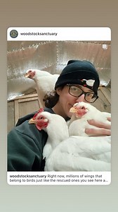 Woodstock Farm Sanctuary on Reels