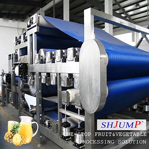 [Hot Item] 5000kg Processing Capacity Pineapple Juice Processing Line