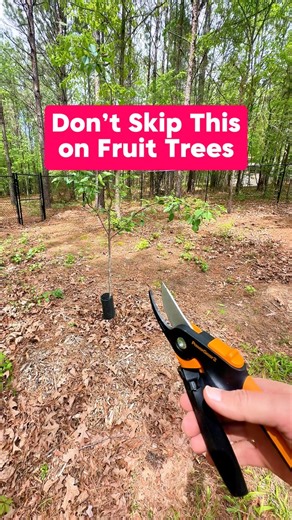 47K views · 415 reactions | Have you done the unthinkable? I’m...