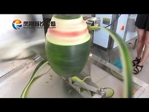 FXP-66 Watermelon Peeling Machine