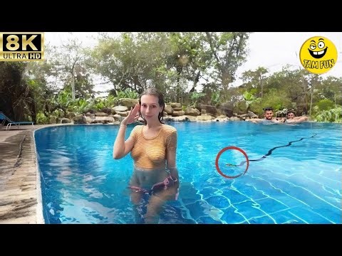 Women Embarrassing Moments Caught on CCTV #24 | Viral Million-View Clips Compilation 9/2025