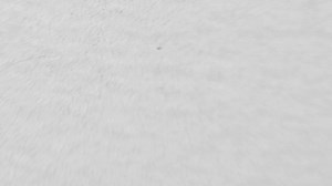 Federal employees nearing retirement, especially those concerned about potential changes affecting their career and retirement plan. This virtual seminar will provide valuable insights into the current federal workforce restructuring and its implications for your retirement. Don't miss this opportunity to stay informed and prepared. | The Federal Seminar