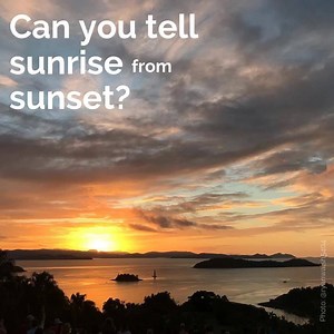 16 reactions | Test your skills  | Cruise Whitsundays | Facebook