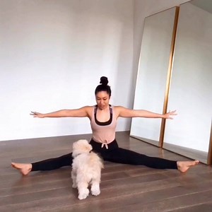 36K views · 365 reactions | My new favorite inner thigh exercise!!! There are 4 levels of difficulty: hands on hips —> hands in airplane —> hands behind head —> hands above head! Try 10 reps on each position. Good luck and prepare for inner thigh annihilation. You’ll also feel your back and core too! | Blogilates | Facebook