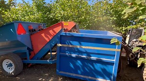 1.6K views · 75 reactions | When hazelnuts are harvested, you gotta...