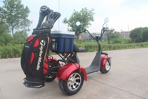 [Hot Item] Hoverboard Double Seat Green Electric Scooter