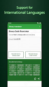 Binary translator