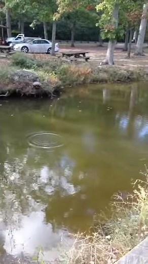 Water Plop Sound effect