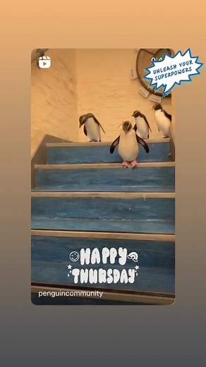 Lisa Gardner on Reels