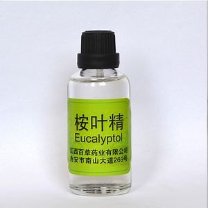 [Hot Item] Fragrance & Flavour Cineole Eucalyptus Globulus Essential Oil