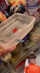 Harrison James on Reels