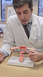 1.2K views · 39 reactions | En la semana de concienciación sobre el cáncer de cérvix nos unimos a World Health Organization (WHO) en la difusión de la importancia de la vacuna contra el VHP y otros métodos de prevención. Nos lo explica el Dr. Enrique Chacón, ginecólogo de la Clínica dirigido por los Dres. Luis Chiva y José Ángel Mínguez. #mujer #Cancer #hospital #salud #saludable | Clínica Universidad de Navarra | Facebook