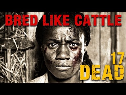 The Mare of Mississippi The Enslaved Woman Forced to “Breed” with a Stallion Then Blamed for Failing